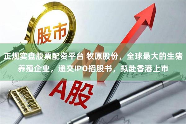 正规实盘股票配资平台 牧原股份，全球最大的生猪养殖企业，递交IPO招股书，拟赴香港上市