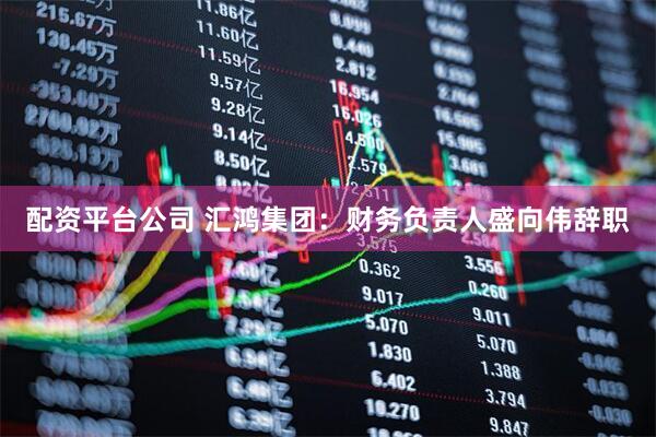 配资平台公司 汇鸿集团：财务负责人盛向伟辞职
