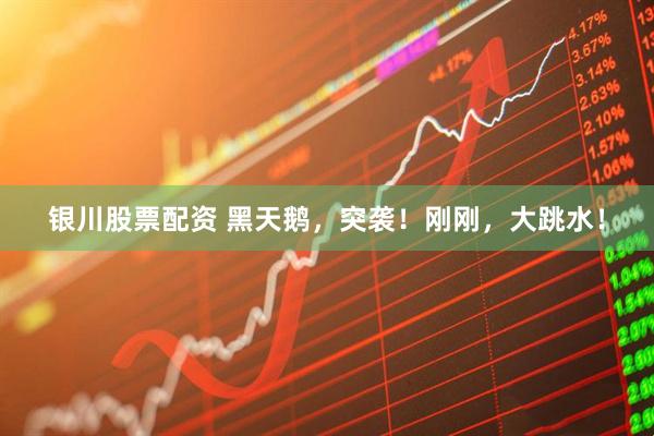 银川股票配资 黑天鹅，突袭！刚刚，大跳水！